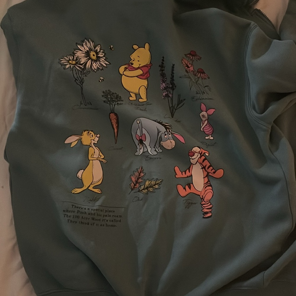 Disney Winnie the Pooh Zip-Up Hoodie